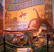 Ausstellung DINO WORLD – Das Reich der Giganten @ Kleine Olympiahalle München ab 01.04.2018 (©Foto; Martin Schmitz)